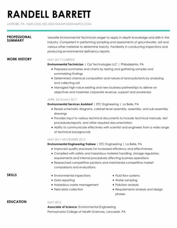 Resume Basics Master the Professional Summary Verbalize Now